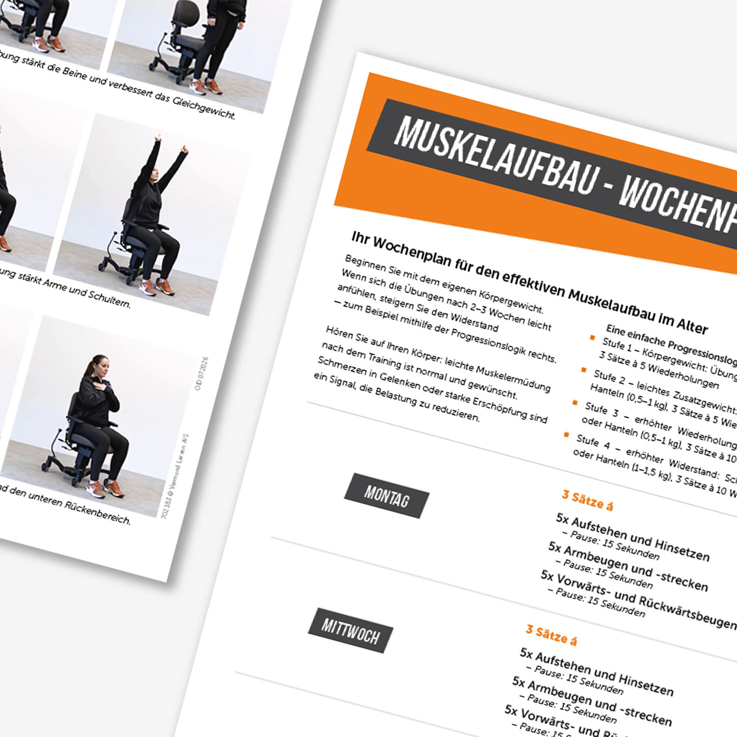 Muskelaufbau für Senioren mit kostenlosem PDF-Wochenplan und bebilderten Übungen zur Verbesserung von Kraft, Gleichgewicht und Mobilität im Alter.